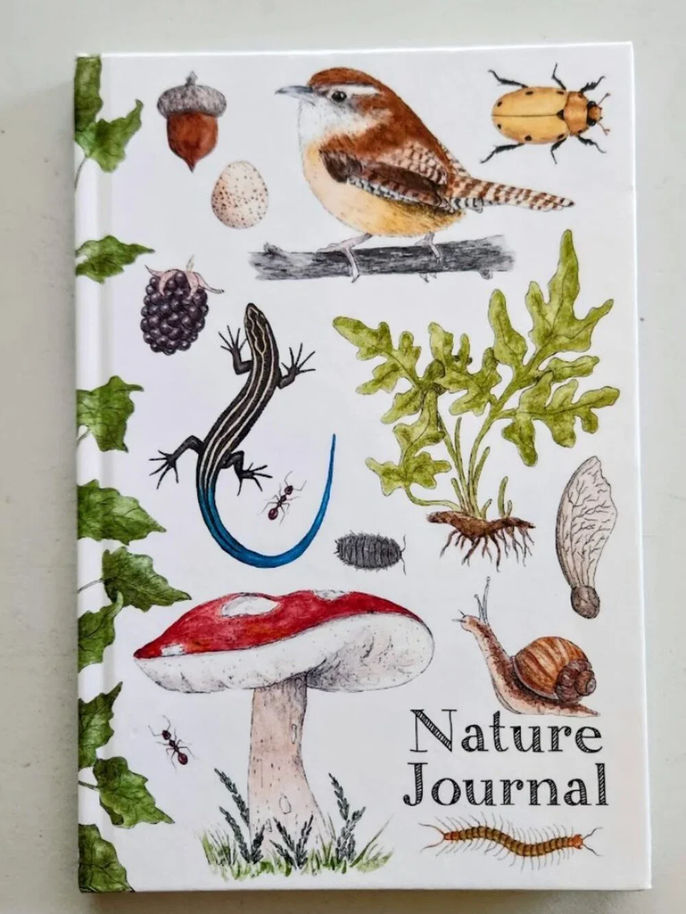 NEW Nature Journal for Kids Activity Book Notebook Hardcover Book Birdwatching B